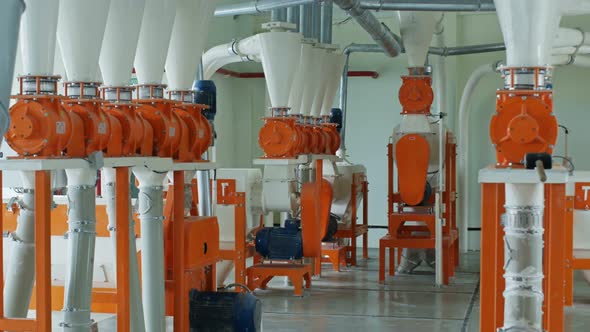Modern Automated Gristmill for Flour Manufacturing