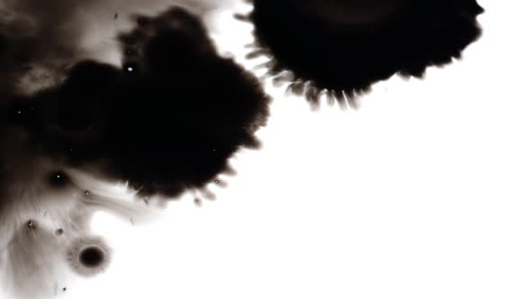 Stock footage of ink blot pattern on white screen