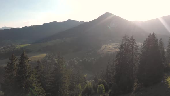 Summer Carpathian Mountains