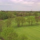 Flying Over Green Meadow with Small Trees - VideoHive Item for Sale