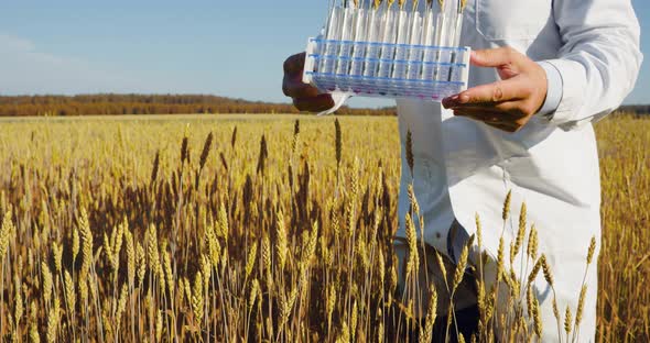 Genetically Modified Grain As a Solution to the Problem of Hunger