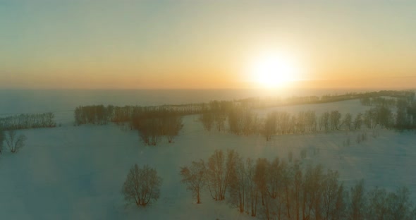 Aerial Drone View of Cold Winter Landscape with Arctic Field, Trees Covered with Frost Snow and