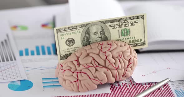 Dollar Bill is Inserted Into Human Brain Near Documents with Graphs Closeup  Movie