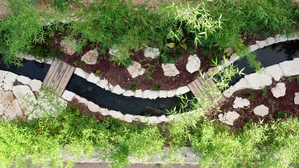 A beautiful garden inside an urban area with water streams, flowers and trees