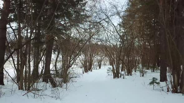 Winter, February, Quarry And River 06