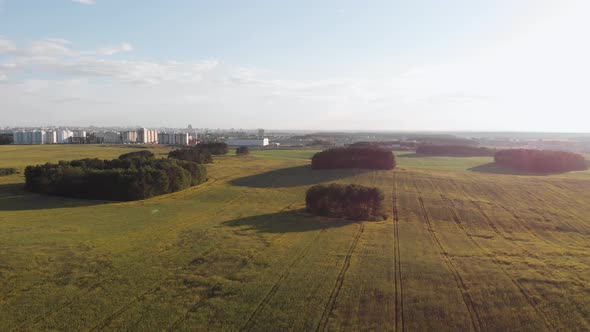 Aerial View of Agricultural Field with Beautiful Paths and Islands of Trees