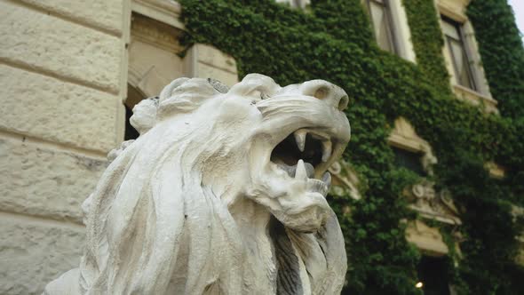 Sculpture of a Lion Closeup Shot Beautiful Building on the Background Slow Motion