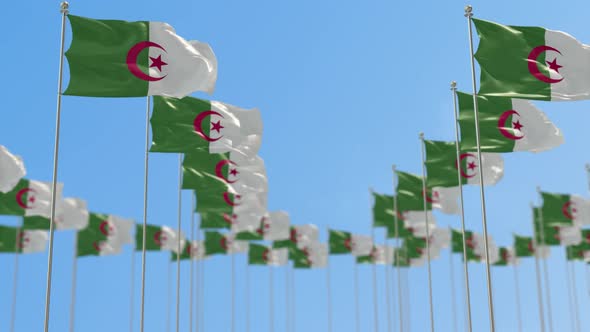 Algeria  Row Of  National flags  Walk Throw Animation alt