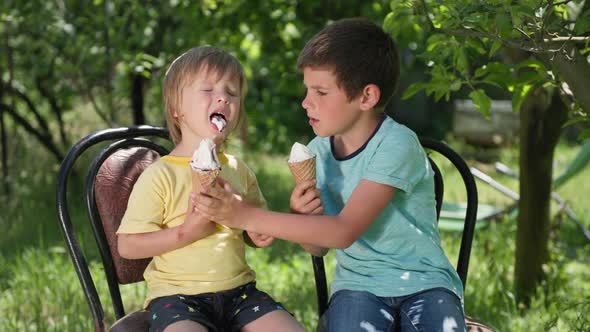 Carefree Male Kids Eat Delicious Cool Ice Cream on a Warm Summer Afternoon While Relaxing