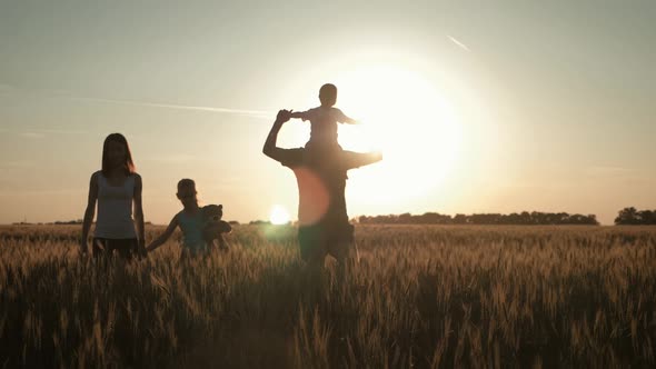 Happy Family Walking in Wheat Field on Sunset in a Warm Summer Evening, Little Son Sitting on Her