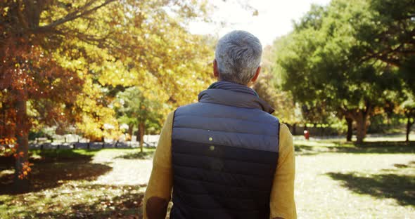 back of man walking outdoors