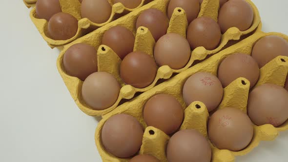 Free range eggs.For the uk market.