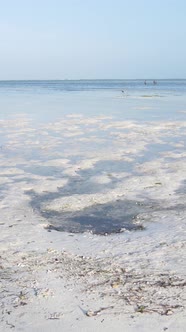 Tanzania  Vertical Video of Low Tide in the Ocean Near the Coast of Zanzibar Slow Motion