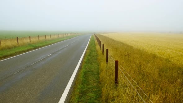 Empty Road Enshrouded in Mist