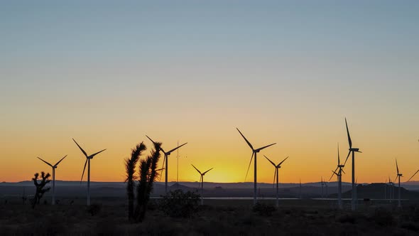 Mojave Desert Sunrise with Joshua Trees And Windmills