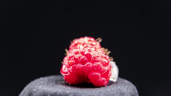 Timelapse Raspberry Melts and Freezes in a Piece of Ice in a Loop