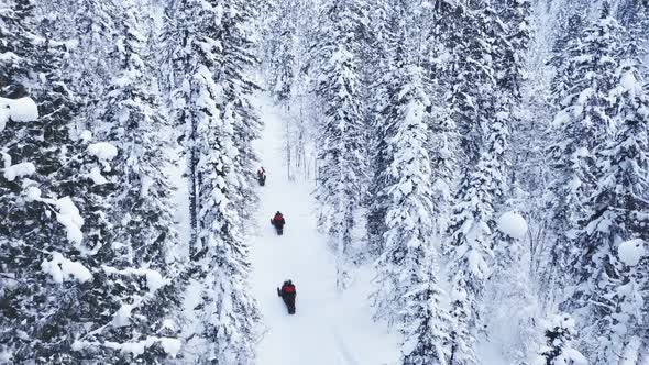 Snowmobiles Ride on Road Through Winter Forest. Drone Shot.