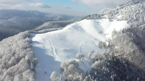 Aerial Images Over A Snowy Forest