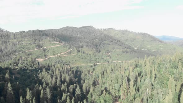 Ukrainian Carpathian mountains at summer, aerial drone view