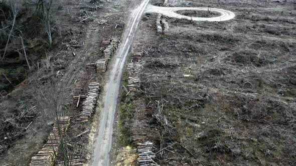 Aerial view of deforestation, destroyed forest after hurricane