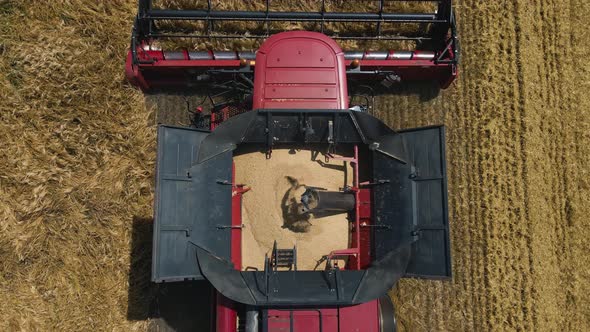 Aerial View Close Up of Modern Combine Harvester Collects Ripe Wheat in Slow Motion