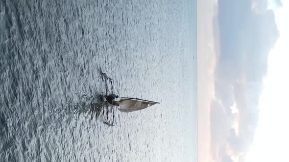 Vertical Video Boats in the Ocean Near the Coast of Zanzibar Tanzania Aerial View