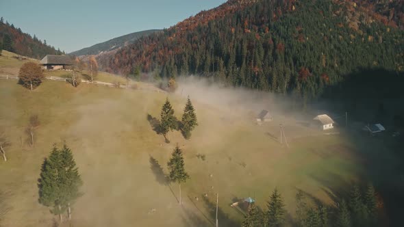 Transparent Mist Over Mountain Village Houses and Pine Trees