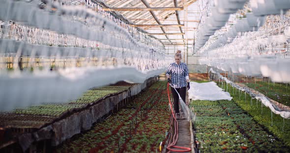 Agriculture Business - Smiling Gardener Watering Flowers in Greenhouse