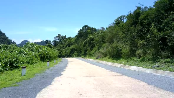 Gray and White Winding Road Near Green Trees in Summer