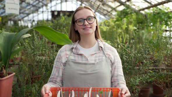 Young Farmer Puts a Basket of Seedlings on the Table