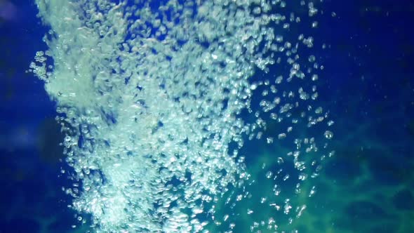 Bubbles Air Moving Chaotically Closeup Background Blue Aquarium Water Slowmotion