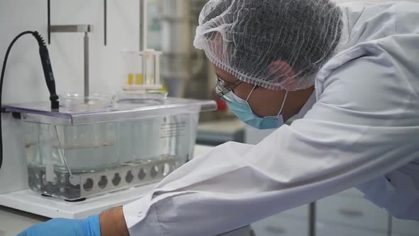 Tablets Being Tested in the Dissolution Apparatus at the Pharmaceutical Lab Spbd