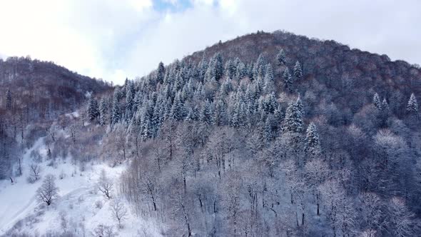 Approaching The Snowy Mountain