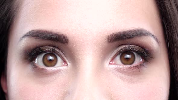 Brown Women's Eyes Blink. Close Up