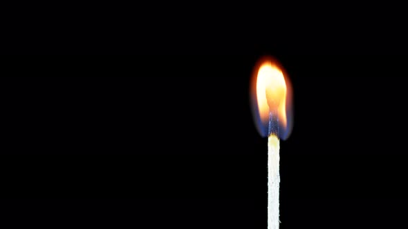 Igniting Match and Flame on a Black Background
