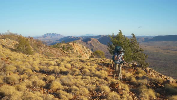 Hiker walks through spinifex on mountain ridge, Central Australia