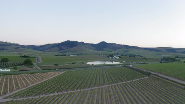 Aerial drone over vineyards and tar road between farms, cars driving early morning, Stellenbosch