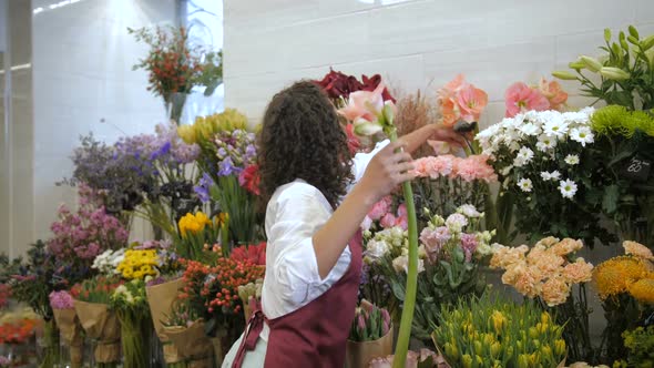 Professional Florist Choosing Flowers for Bouquet