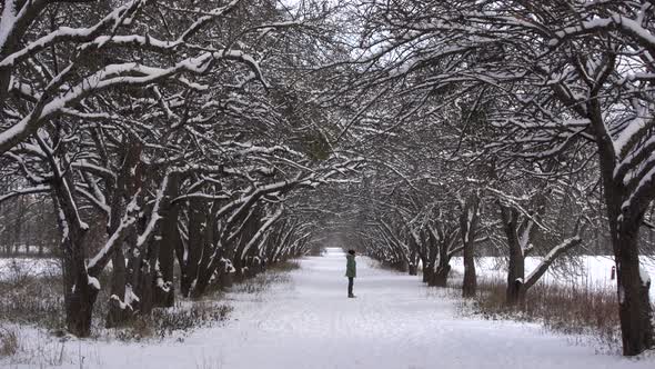 Woman with Dog on Snowy Road