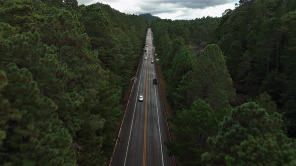 Aerial in Road Between Forest at Altos From Chiapas Mexico - Backwards Movement