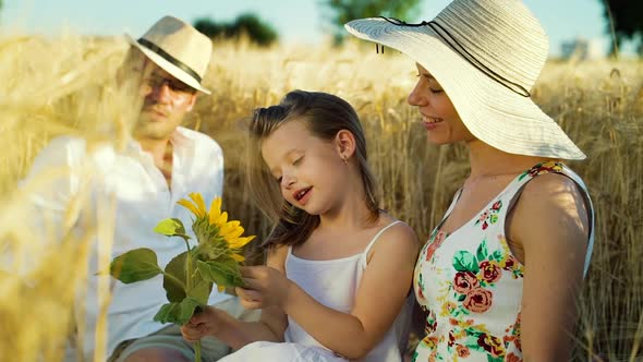 Little girl tearing off petals of flower on family picnic in countryside