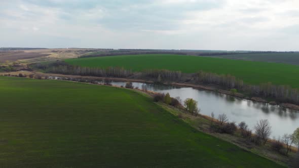 Flying above lake, green, cultivated spring fields