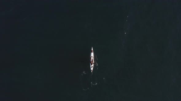 Single seat fishing canoe rowing at calm open sea water, Aerial view.