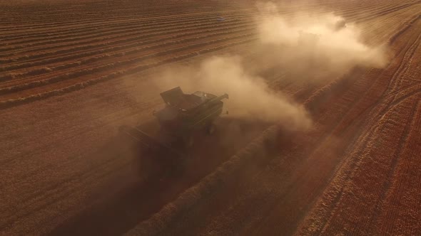 Combines in Clouds of Dust.