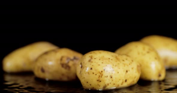 One Fresh Potato Falls Into the Water with Splashes. 