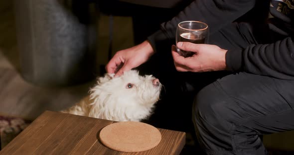 Unrecognizable Man Sitting in Black Clothes with Drink Stroking White Curly Dog