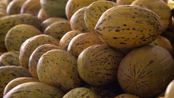 Pile of Fresh Ripe Muskmelons Close Up