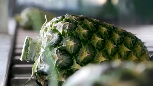 Pineapple on Conveyor BeltShot On GH5 with 12-35 f2.8Lens 29.97fps