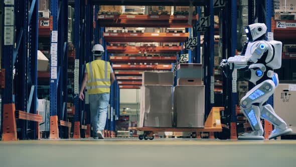Worker Stops Robot To Place an Extra Box To His Cart at Modern Warehouse