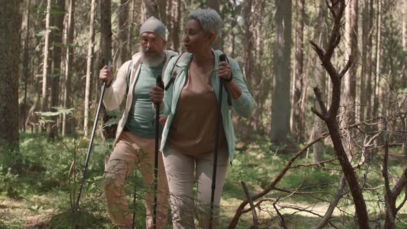 Senior Couple Practicing Nordic Walk in Woods
